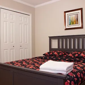 Shiny Spacious With Perfect View In Crescent Apartment Montreal